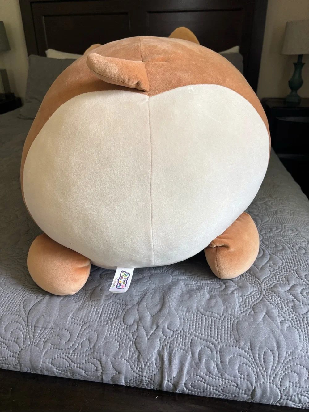 Squishmallows Sleep A Mallows Tan & White Dog or Fox Extra Large Stuffed Animal